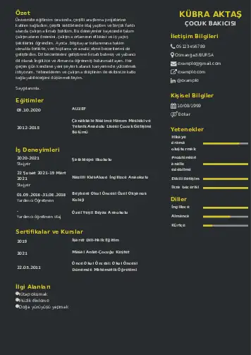 Çocuk Bakıcısı CV Örnekleri cv indir